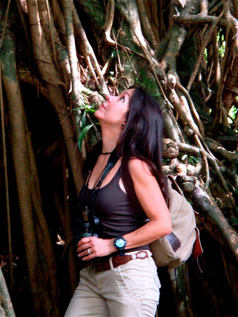 Claudia C. Pinto