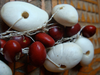 Common bean necklace