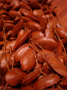 Tropical pumpkin seed necklace