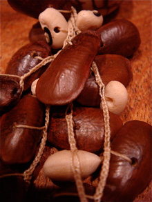 Tropical pumpkin seed necklace