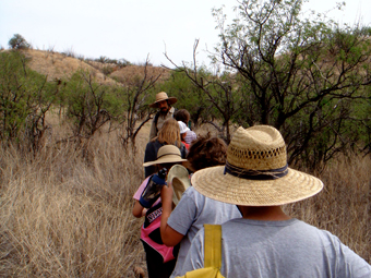 Nature Science School