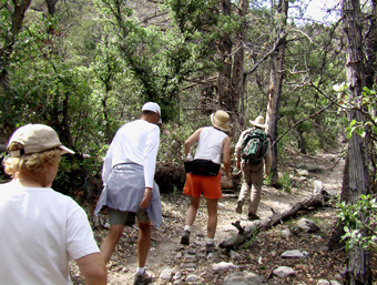 Wilderness Survival