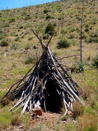 Wilderness Survival
