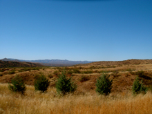 Earth Stewardship Program