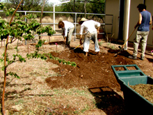 Earth Stewardship Program