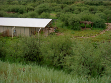 Earth Stewardship Program